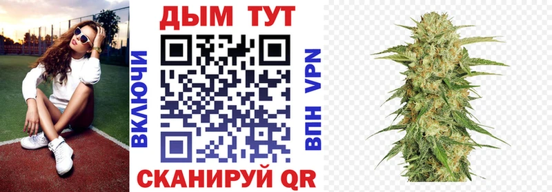 площадка состав  Карачев  Каннабис VHQ 